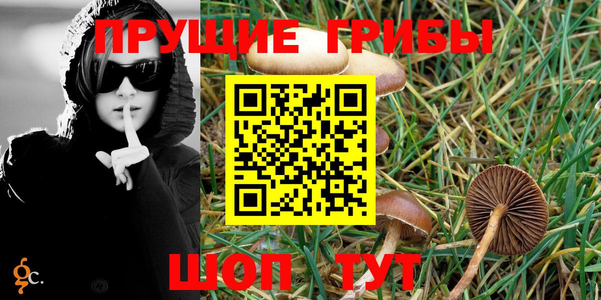 Галлюциногенные грибы ЛСД  Егорьевск  Галлюциногенные грибы Psilocybine cubensis 