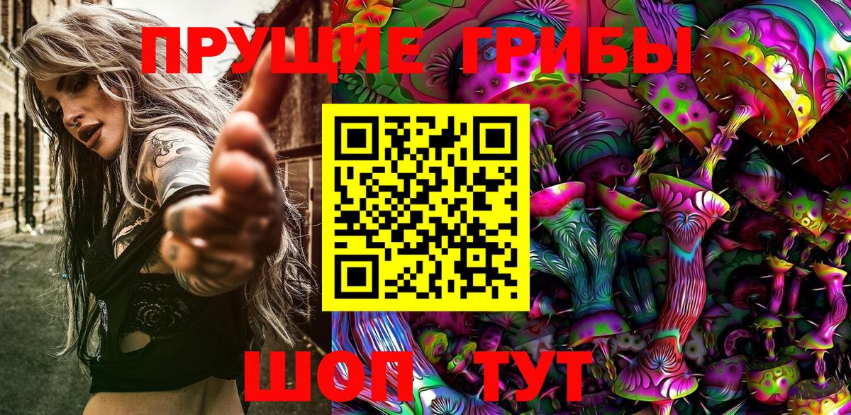 Псилоцибиновые грибы Psilocybine cubensis Егорьевск