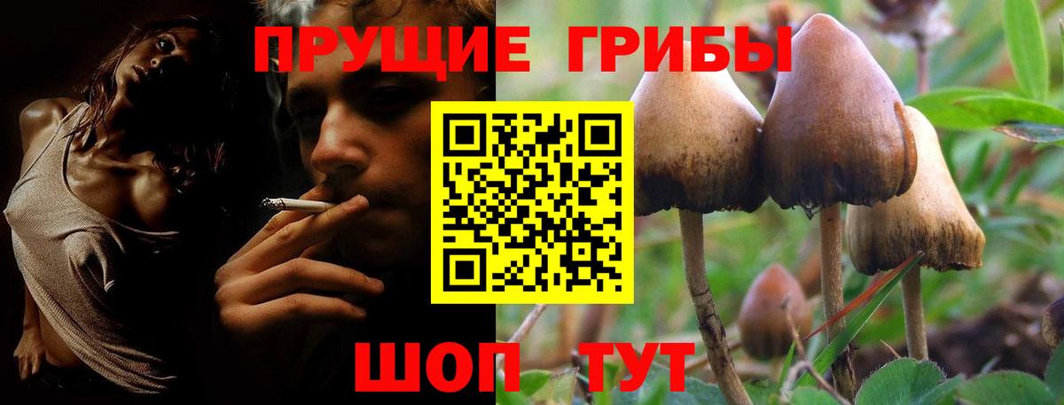 Галлюциногенные грибы ЛСД  Псилоцибиновые грибы мухоморы  Егорьевск  Вход с VPN 